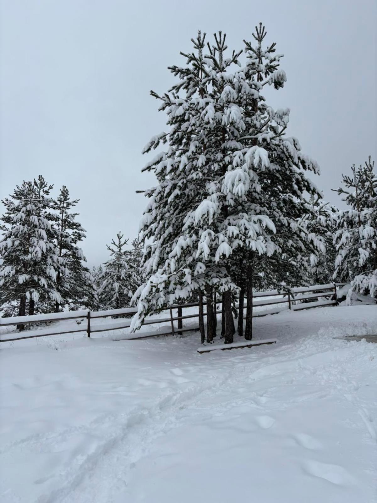 Zabljak_Vikendica Exterior photo